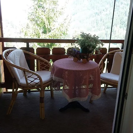 Appartement Haus Almenrausch